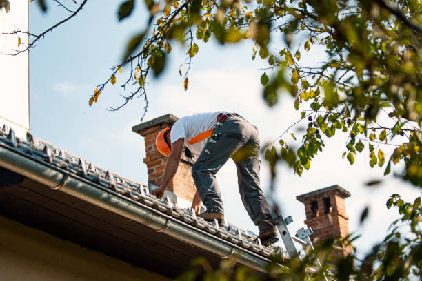 Best Local Roofing Companies  in West Branch, MI