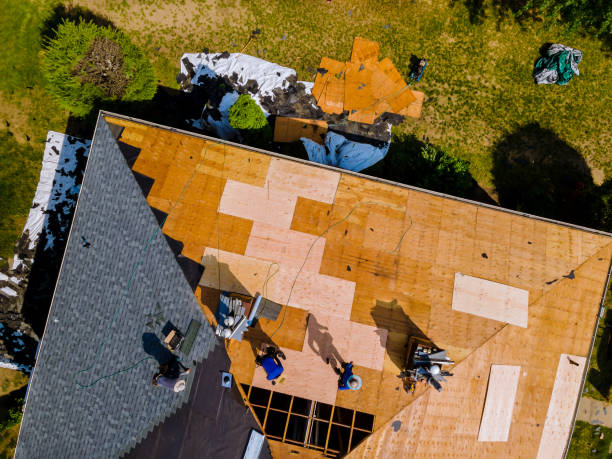 Best Local Roofing Companies  in West Branch, MI