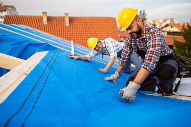 Best Roof Maintenance Services  in West Branch, MI