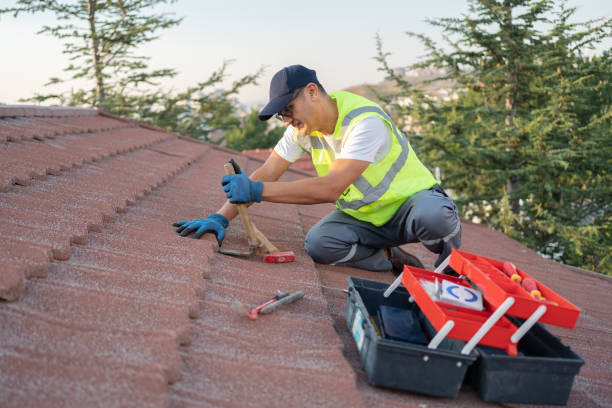 Best Metal Roofing Contractor  in West Branch, MI