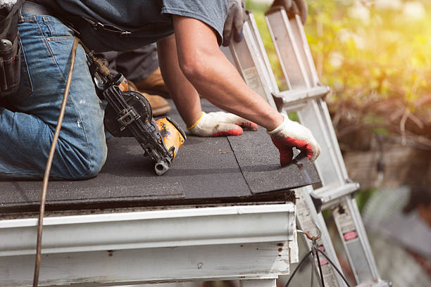 Best Roof Gutter Cleaning  in West Branch, MI