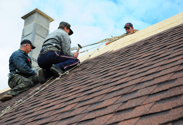 Best Roof Gutter Cleaning  in West Branch, MI